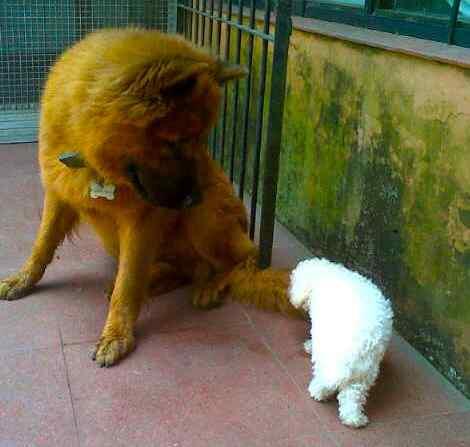 josesaenzv's tweet photo. Mike y randalf. #nuevoIntegrante http://t.co/cdeXFabuKN