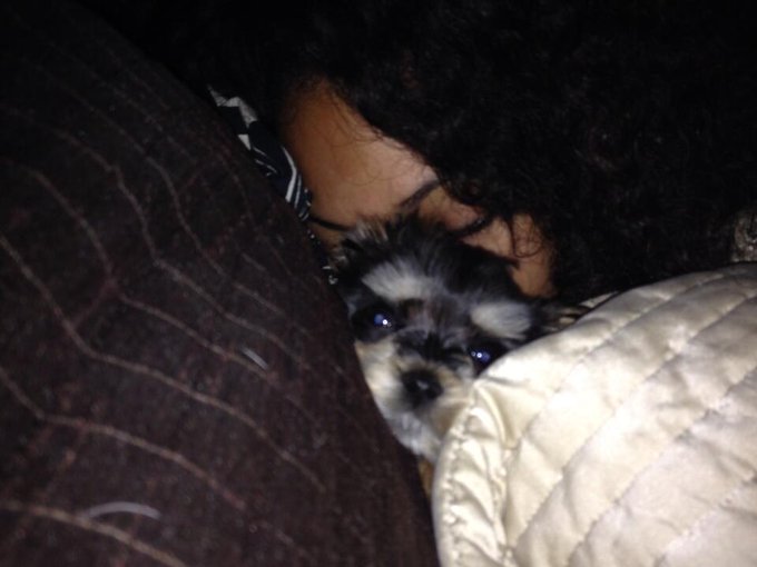 In the meantime I have this little girl 😊 http://t.co/oYwgroIhtE<a href="/tag/heyboo"class="tags"><span>#heyboo</span></a>