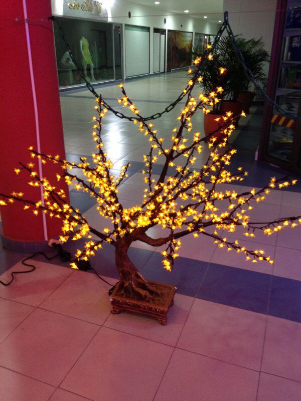 vivenavidad's tweet photo. Y los que aman los bonsai aqui te presentamos este bello http://t.co/HHrDsrvbfh