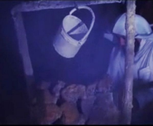 ألقوه في الجُب،
وحده،
ومضوا فرحين،
ظنوا أنهم تخلصوا منه..
ولم يعلموا أنهم وضعوه في أول طريق العِز..
إنه سيدنا يوسف