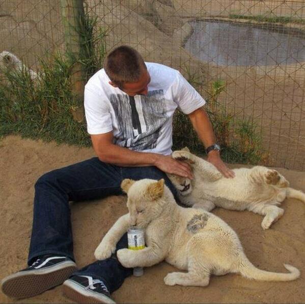 _Paisajes_'s tweet photo. Paul Walker jugando con dos pequeños leones que había adoptado. Hasta siempre ídolo. #RIPPaulWalker http://t.co/8WxZvuG2W5