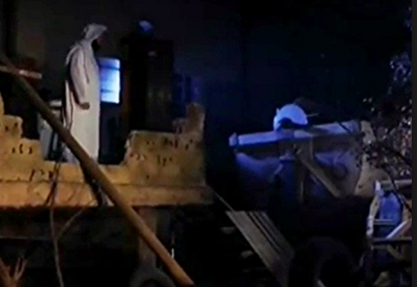 [ كل من عليها فان ]
لا أحد سيبقى هنا..
الأهل..
الأبناء..
الأصحاب..
القصور..
الأموال..
لن يبقى إلا  .. ( وجه ربك )