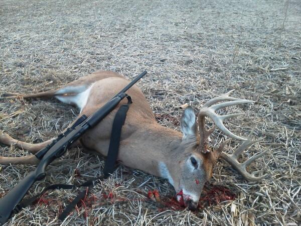 Dwhitey82's tweet photo. @buckcommander7 @williebosshog @JaseDuckman @GodwintheWalrus What cha think about this Indiana buck I shot yesterday http://t.co/9G7D1OzY7n