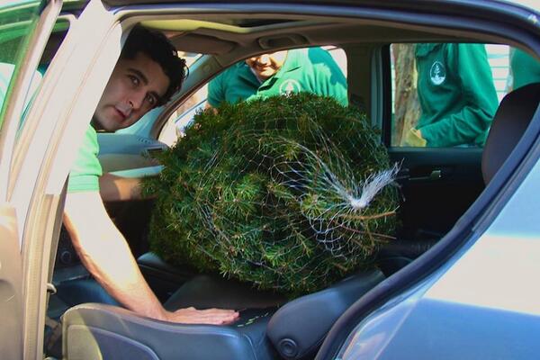 SiempreVerdeMX's tweet photo. Estamos recibiendo a muchos amigo en el Huerto y se llevan su Siempre Verde! @YoSalveUnSiempreVerde http://t.co/X3OS2V5pZM