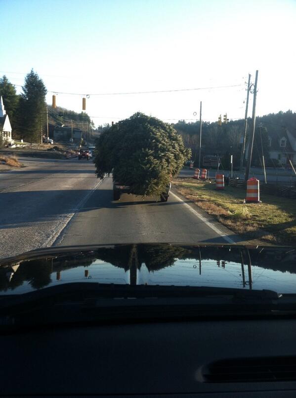 g_bach__'s tweet photo. Nice tree #Griswolds http://t.co/356DWJdFTt