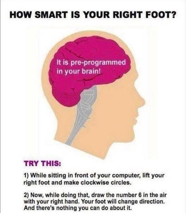 HastingsBloke's tweet image. Hahahahahahahahahahahahah 

This is brilliant stop what your doing and try this then RT