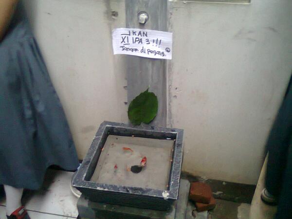 noteEST's tweet photo. http://t.co/jZUkwv4Xd1