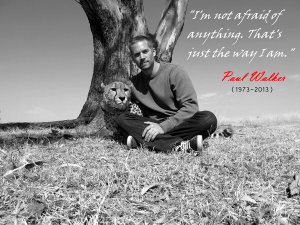 bobygrim's tweet photo. R.I.P Paul Walker. You were a hero and an amazing person... Now you're an angel! #RIPPaulWalker #RIP http://t.co/RVzl3PQ9Ed"