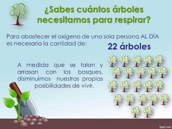 “@semanaecologica: ¿Sabes cuentos arboles necesitamos para respirar?  vía @NaturalezaVital” @joseluisfabrega
