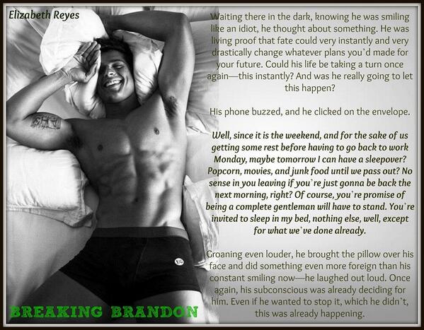 AuthorElizabeth's tweet image. #BreakingBrandon #newrelease #amreading