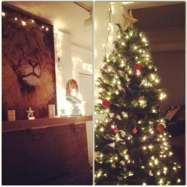 MarniOldershaw's tweet photo. It's Christmas at 1215! #carpetlionshrine #team1215 @zoematti @afooled @nikkhoney @marfelic http://t.co/VRkzFAfiVq