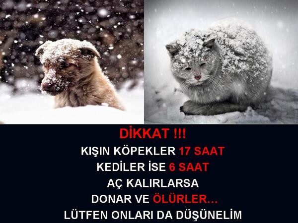 SEVGİ & MERHAMET tweet media