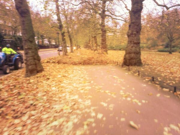markath's tweet image. Major leaf blowing by St. James's park (and I took the apostrophe from the sign but surely it's wrong).