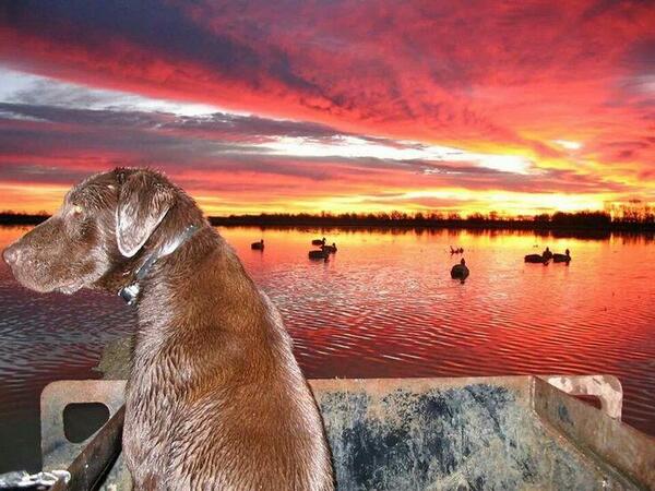 Red in the morning ducks be warning