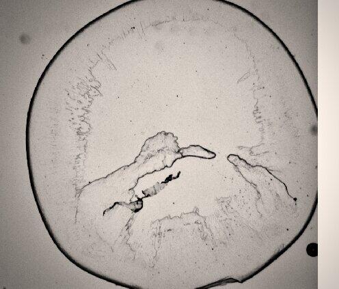 garagao's tweet photo. Another Rorschach test @molecularD ? I see a comic book creature others the Sistine chapel #lcp #ozxtals @CSIROC3 http://t.co/ie4NgbrILd