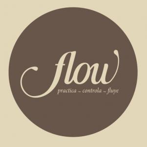 Practica - Controla - Fluye