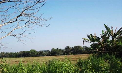Mygoaproperty's tweet photo. Plot With Stunning Field View For Sale At Majorda #mygoaproperty for more info click on link: http://t.co/CaJKvMkWdW http://t.co/RSu8lAGoI5