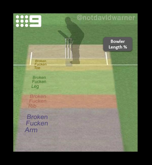 notdavidwarner's tweet image. Channel 9 have modified their 'Hawk-Eye' pitch map graphic in preparation for the Adelaide Test. #Ashes