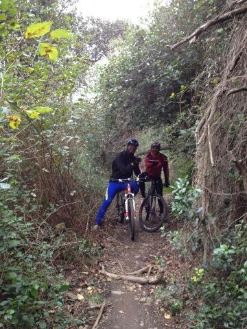 CatBikeNet tweet picture