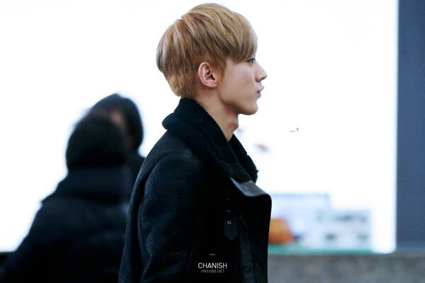 chanish_1005's tweet photo. '뀨..ㅇㅅㅇ...?' 공항에서 잠시 길 잃은 미어캣 한 마리 (21개월) http://t.co/r8JIIf1qvp