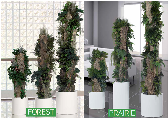 PotShopGC's tweet image. Este es nuestro nuevo Totem liofilizado n una composición de plantas ideal para decorar tu casa u oficina.