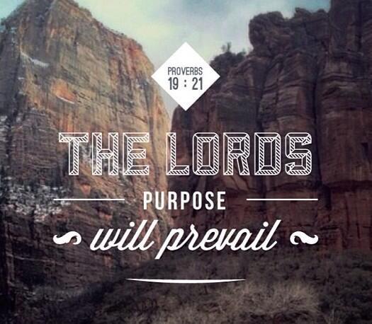 VersesForDays tweet picture