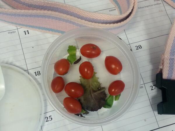 espagnolisme's tweet image. Really ma? That many little suckers in my salad? How long have you known me? #shunthetomato #lisaproblems #leftovers