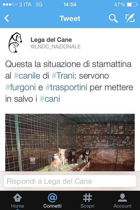 Emergenza a Trani, qualcuno che e' nelle vigilanze puo' aiutare? @LNDC_NAZIONALE @enpa http://t.co/Q<a href="/tag/italiasgottalent"class="tags"><span>#italiasgottalent</span></a>
