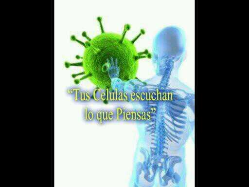 CuerpoEnFormaCM's tweet photo. Siempre positivos, si quieres puedes... http://t.co/PSTPezEAA7