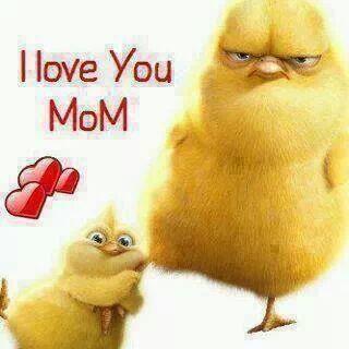 sara mosavi (@mosavi45) on Twitter photo 