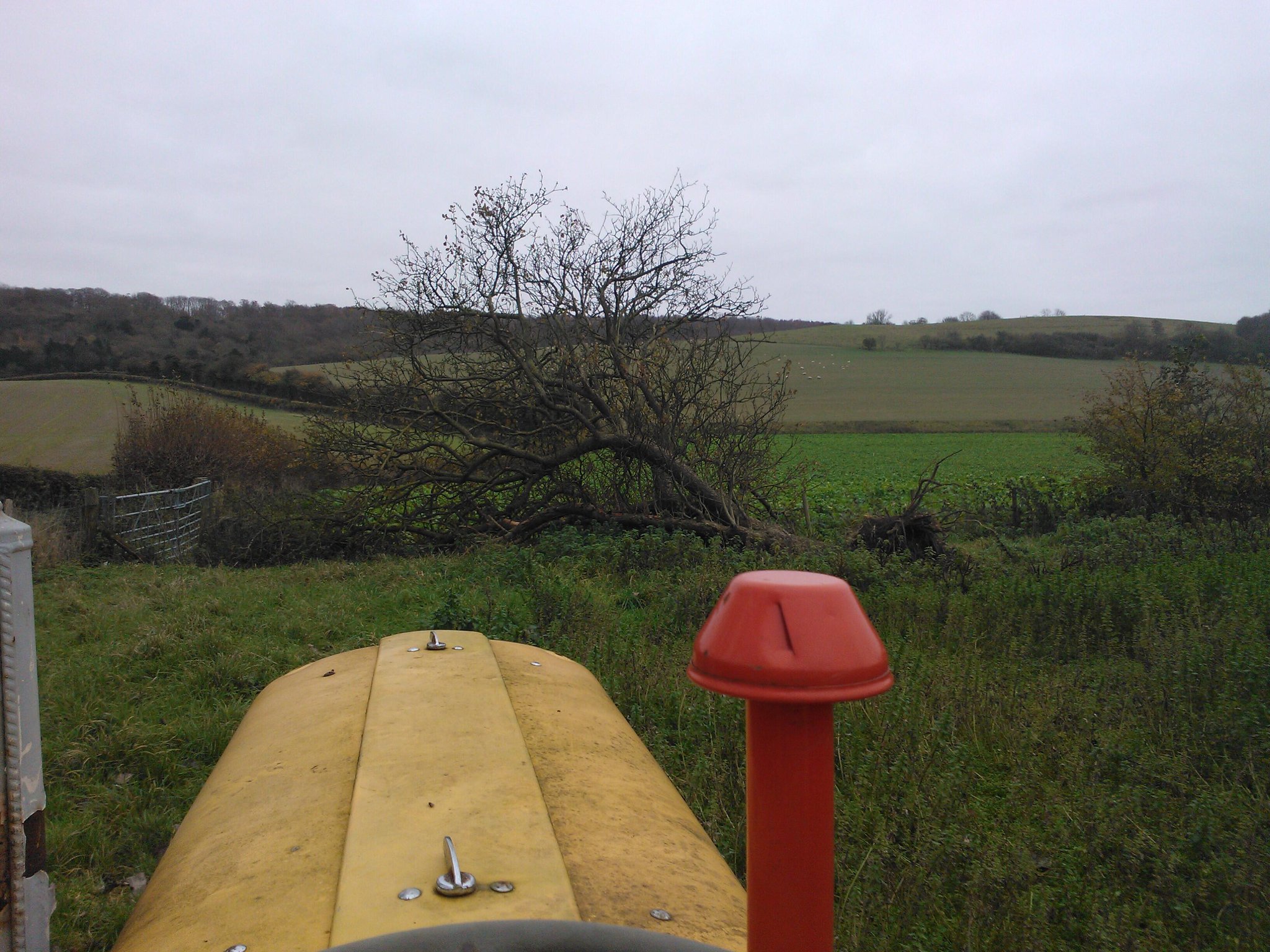 Ripple Bowl | Knit Rowan - Yarns, Knitting.