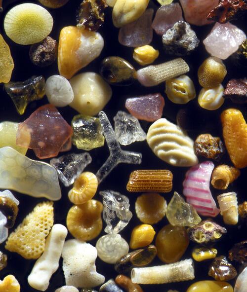 What tiny sand grains look like under a 3D microscope: on.ted.com/rYKb