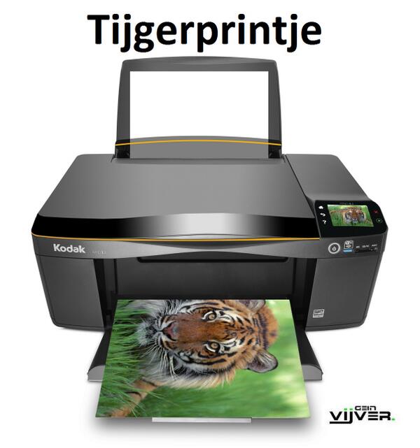 Geinvijver's tweet photo. Tijgerprintje http://t.co/RZkKFovFKq