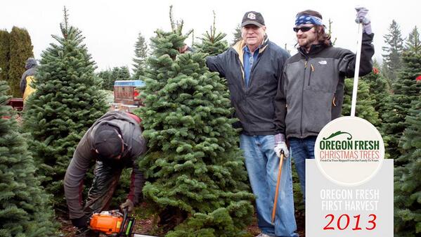 BoxedTree's tweet image. Our official first cut tree of 2013! Thank you so much for your support.