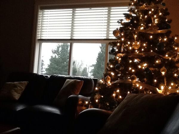 janelleostberg's tweet photo. Relaxing weekend getaway, clean house, coffee, and my Christmas view this afternoon #thankful #heartisfull http://t.co/2Yuw0KKpZv