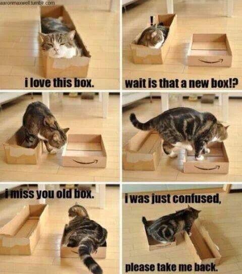 ShmooReport tweet picture