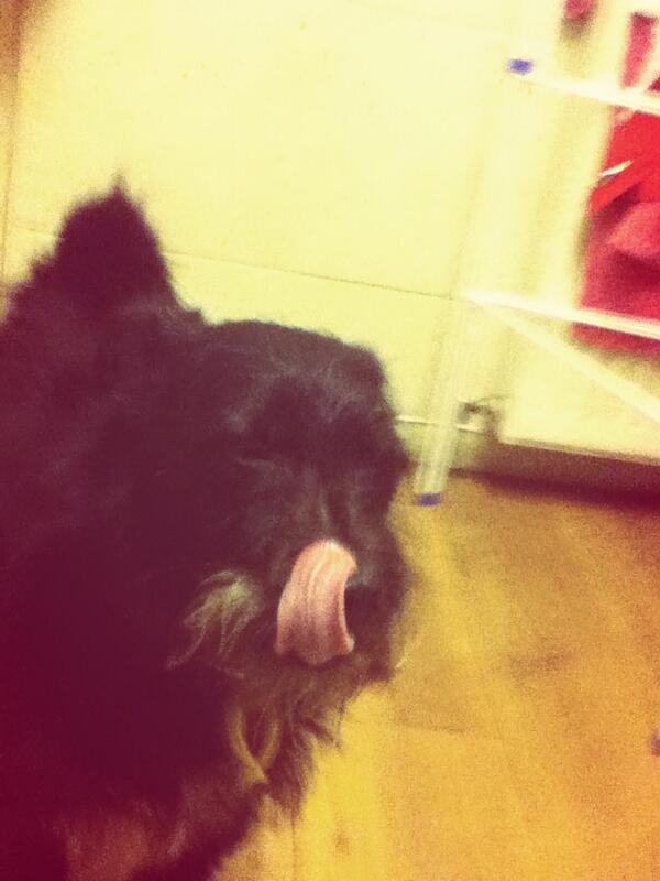 CoGrumpy's tweet image. 