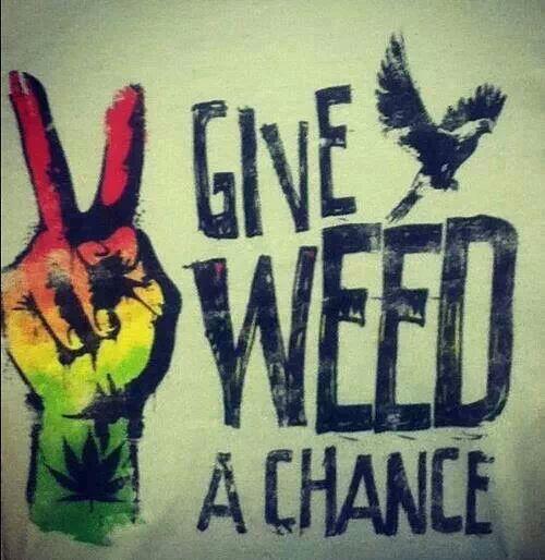 BigWeedSmokin tweet picture