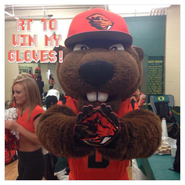 BennyBeaver's tweet photo. Win my game authentic gloves from the Civil War! RT for a chance to win! #CyberMonday #GoBeavs http://t.co/EwdOb6HN7V