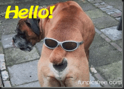 max_theTOPdog's tweet photo. My pal is seriously the funniest dog around, makes me howl! #doghumour http://t.co/q4hHCPEOqv