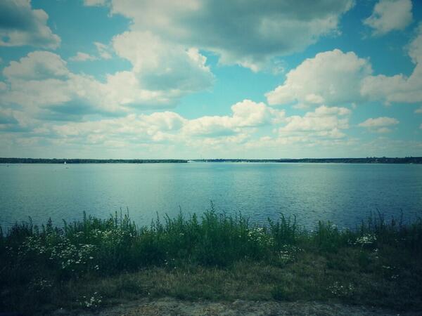 DemelMax's tweet image. .