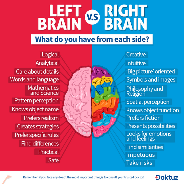 Doktuz's tweet photo. Look what and how much you have of each side of the #brain . Be well! http://t.co/3oT9TFl8eq