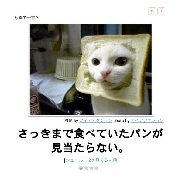 猫 大喜利 Ipponグランプリ Nekooogiri Twitter