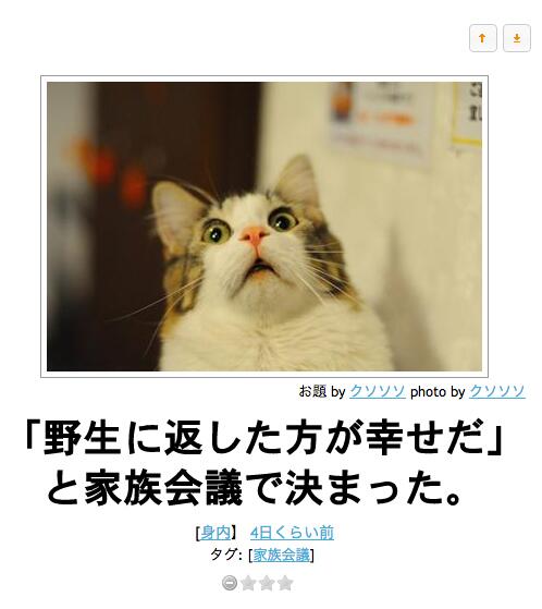 猫 大喜利 Ipponグランプリ Nekooogiri Twitter 猫 大喜利 Ipponグランプリ Nekooogiri Twitter