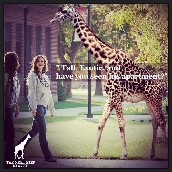 mapstein's tweet image. Say hello to the newest @NextStepRealty brand ambassador!!! #nextsteprealty