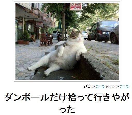 猫 大喜利 Ipponグランプリ Nekooogiri Twitter 猫 大喜利 Ipponグランプリ Nekooogiri Twitter