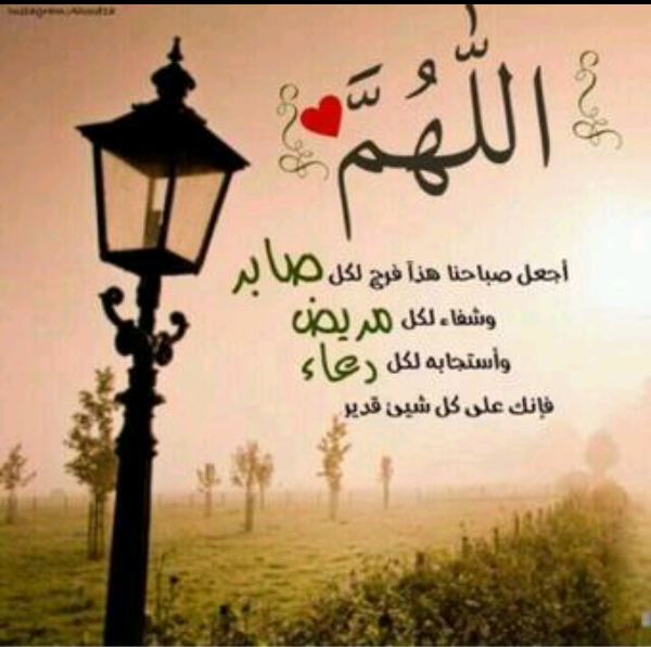 《《بیتو ♡♥الشمری 》》 tweet media