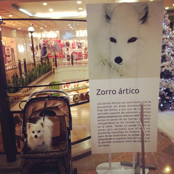 DesignVargas's tweet photo. Ahora todo tiene sentido!! http://t.co/LYkD6rX3BS
