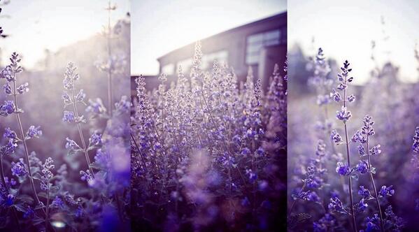 Jane921405's tweet photo. http://t.co/8tnIvb2j9t