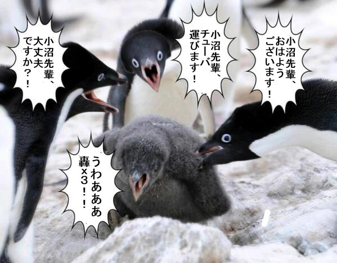 “@  ペンギンコラが流行ってるということで、こんなの作らせていただきました　 ”ペンギンコラきたー！！かわいい